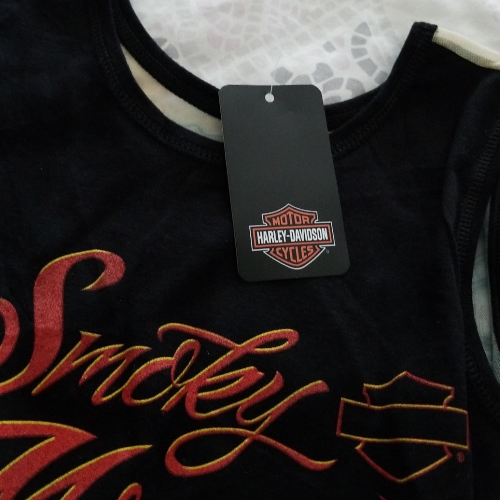 Harley-Davidson - Picture 7 of 8